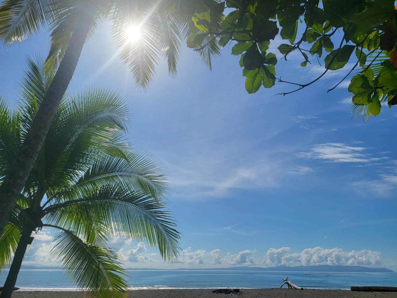 Agua Dulce On The Beach Пуэрто-Хименес Экстерьер фото