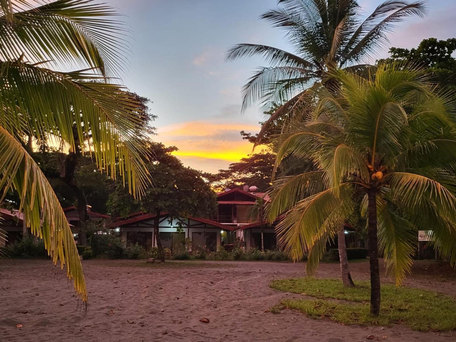 Agua Dulce On The Beach Пуэрто-Хименес Экстерьер фото
